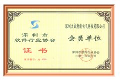 大成軟件行業協會證書