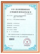 大成DSS600-800安全監控軟件